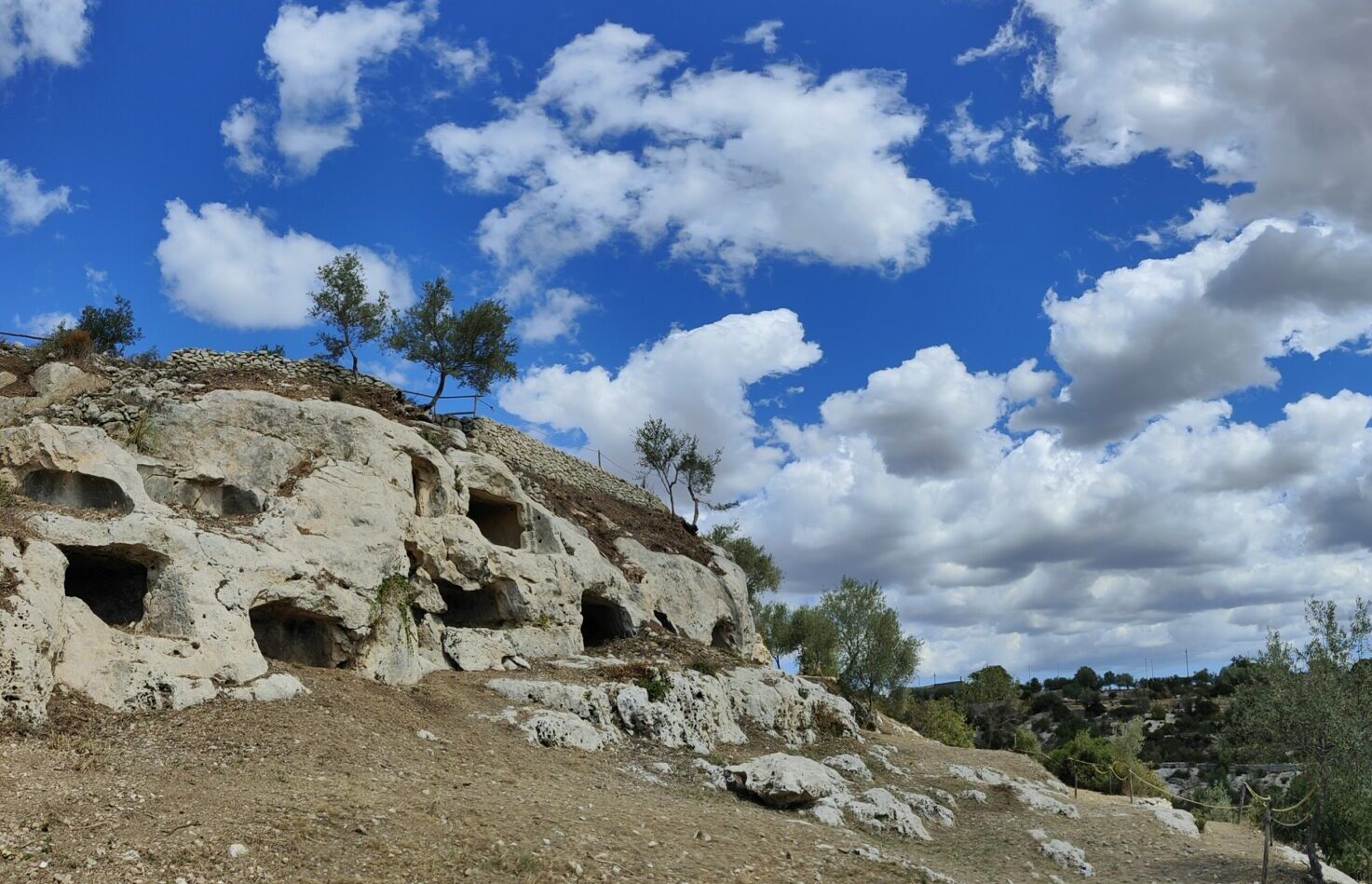 MOSAICA
